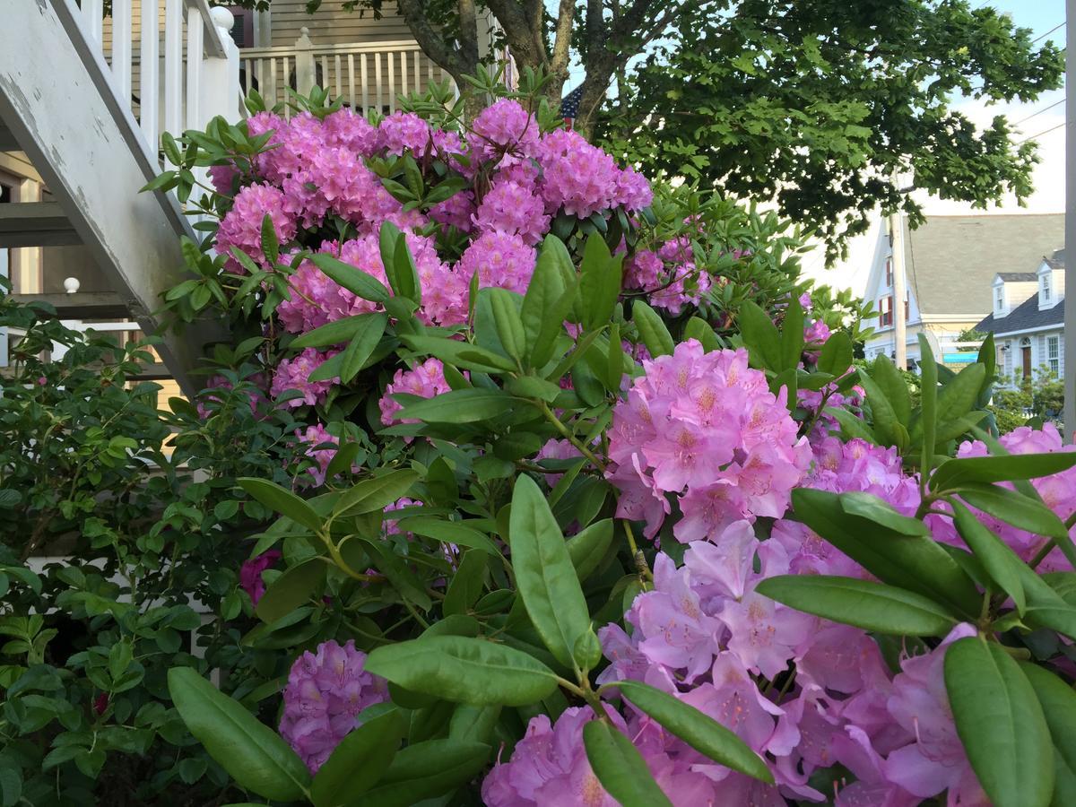 Watership Inn Provincetown Luaran gambar